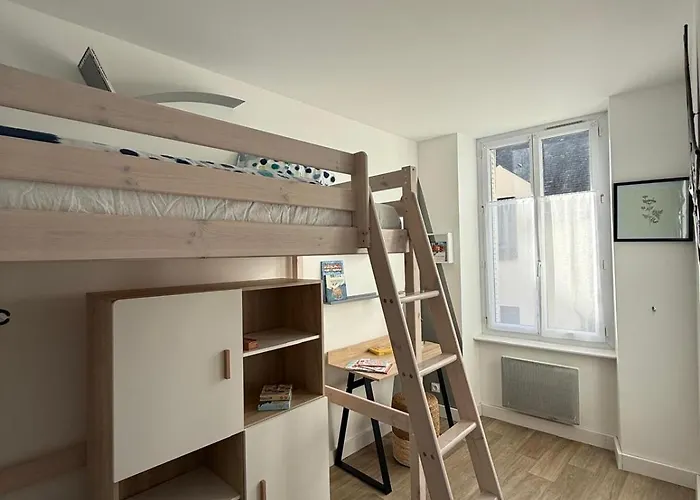 T3 Gare-visitation-chateau D'angers Appartement