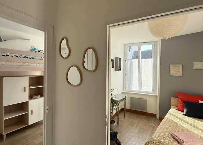 T3 Gare-visitation-chateau D'angers * Angers