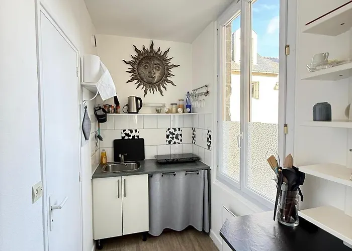 T3 Gare-visitation-chateau D'angers Appartement *